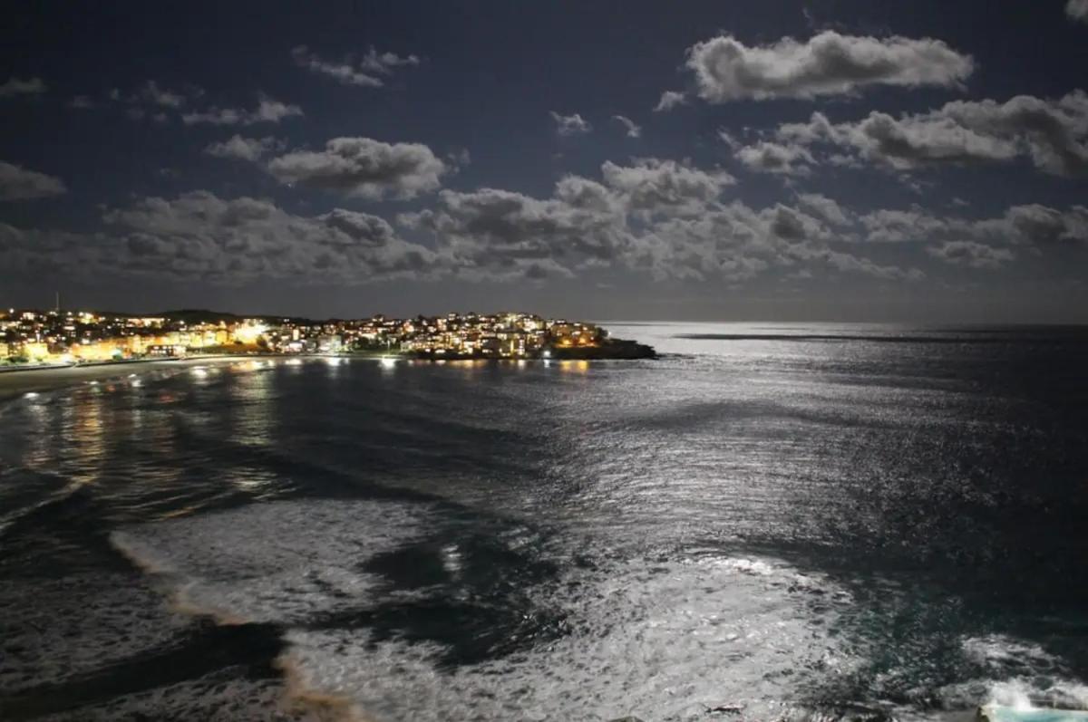 Studio Bondi Beach Sydney Ngoại thất bức ảnh